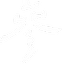 参考消息