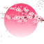 樱花影院
