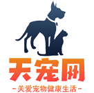 太宠网